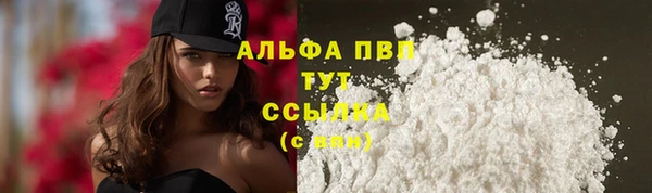 СК Арсеньев