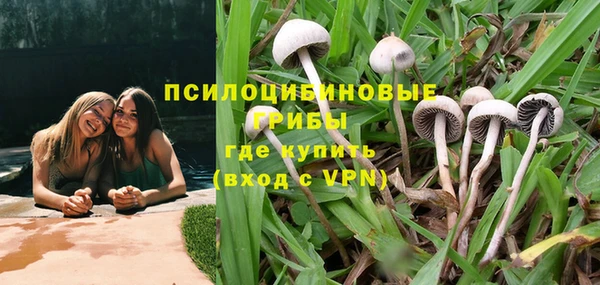 СК Арсеньев
